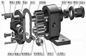 齒輪泵內部